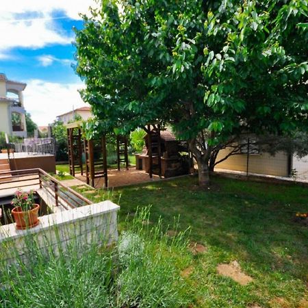 Ana M Apartments Novigrad  Exterior photo