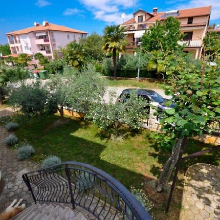Ana M Apartments Novigrad  Exterior photo